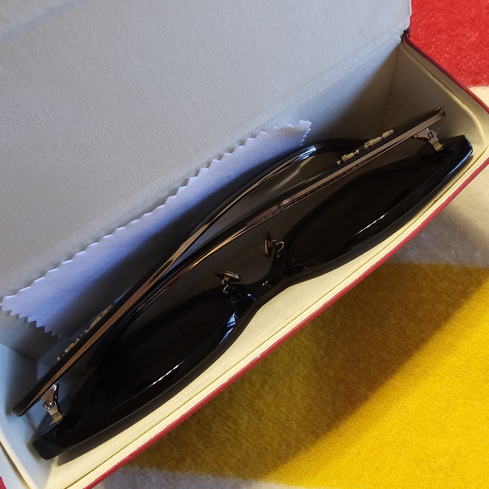 Fendi ROMA Glossy Black Sunglasses - Picture 13 of 14